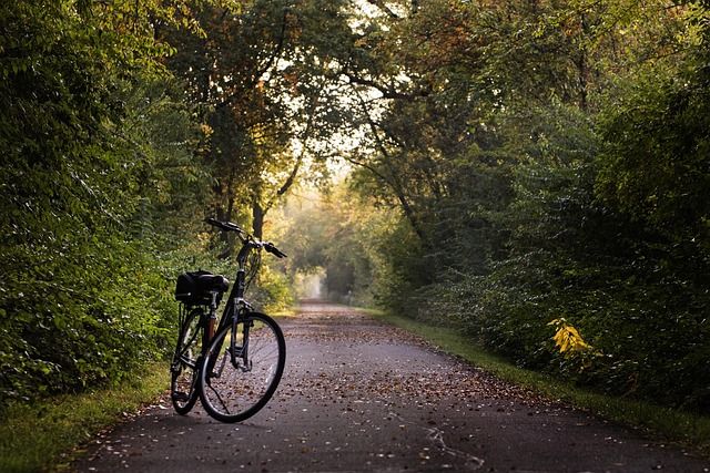 Fietsers op een pad langs een waterweg