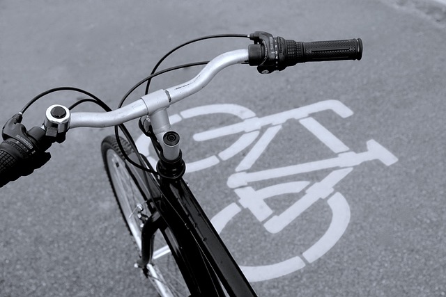 FietsenLangs: een fietsroutebord in een natuurlijke omgeving.