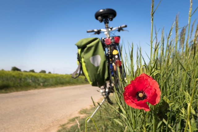 Fietser geniet van de zonsondergang op een open weg