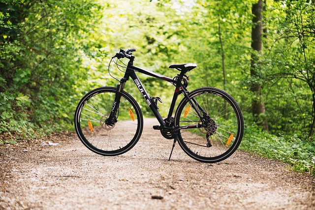 Fietsroute door een bosrijk gebied